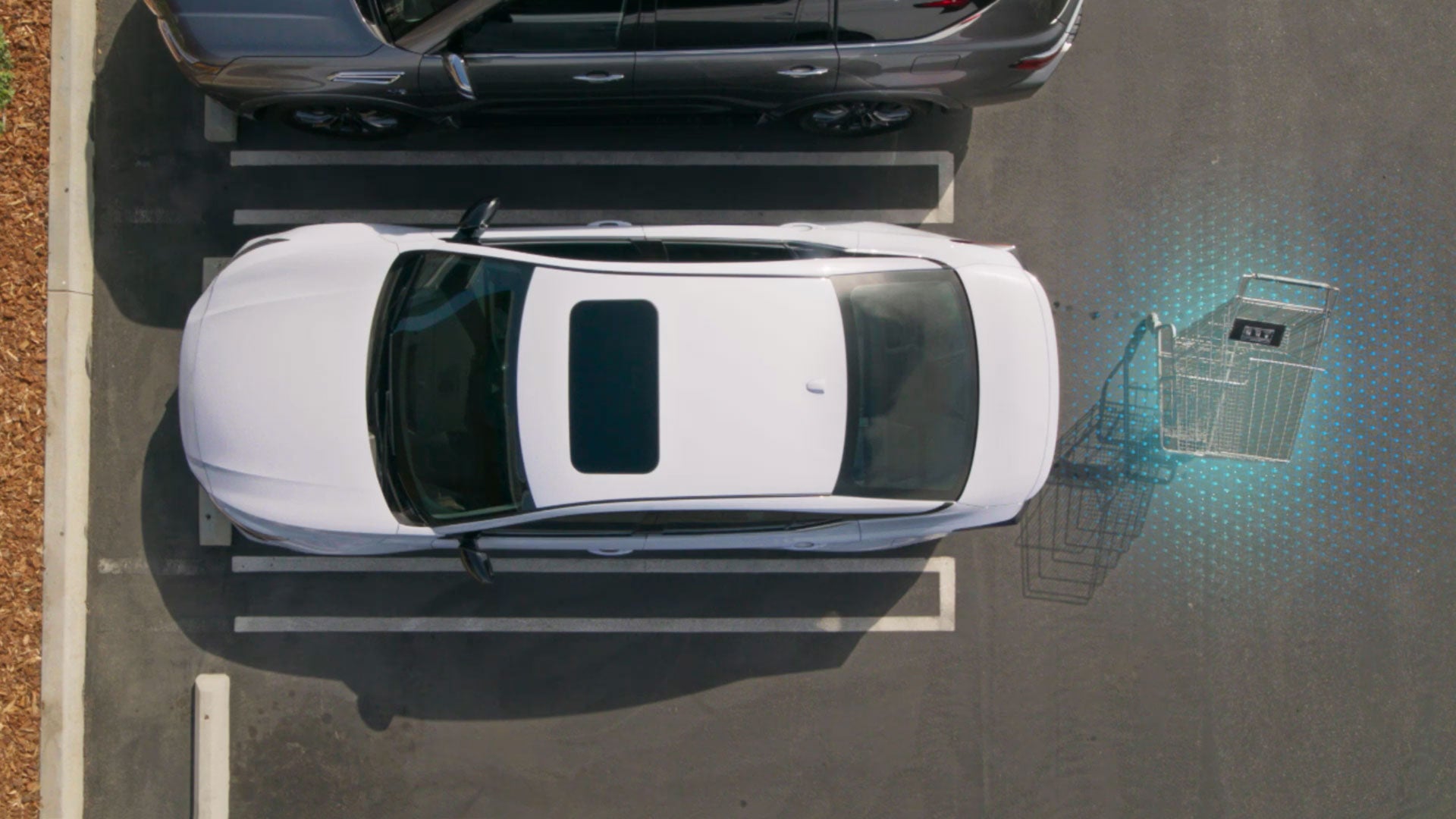 2026 Nissan Altima | Dutch Miller of Wytheville in Wytheville, VA